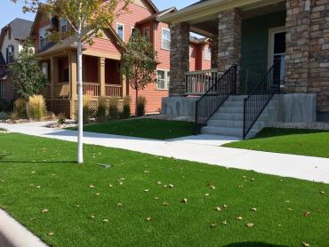 Artificial Grass Photos: Synthetic Pet Turf Inglewood California Landscape, Lawns